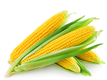 Линије за сортирање сечење стандардизује кукуруз