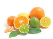 Линии за сортиране, класификация и опаковане на цитрусови плодове