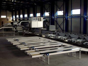 Processing - Sorting - Grading - Sizing and Packaging Line for Kiwi