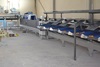 Sorting and Grading Line for flat Peaches
