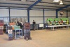 Sorting and Grading Line for Toamtoes