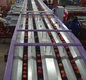 Sorting-Grading-Packaging line for Peaches-Nectarines