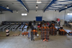 Sorting and grading line for citrus fruits