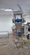 Sorting and Packaging Line for cut Potatoes