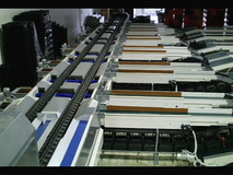 4 line Εlectronic sorter for kiwi