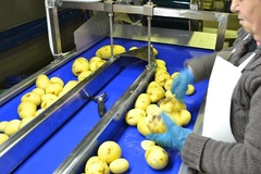 Sorting table