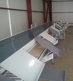 Packaging system for grapes