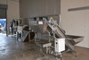 Sorting and Peeled line for Potatoes