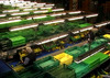 Sorting-Grading-Sizing-Packaging Line for Pears.