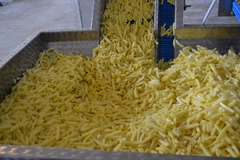 Electronic weigher Inox