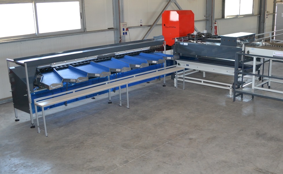 Sorting-Grading-Processing Line for Apples - Processing,sorting,grading ...