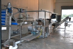 Peeled-cut potatoes line