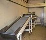 Grading line for Oranges