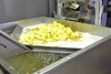 Sorting and Peeled line for Potatoes