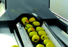 System with a camera for the sorting in color and diameter