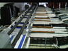 Sorting - Grading - Packaging Line for Kiwi