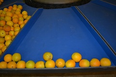 Fruit trays