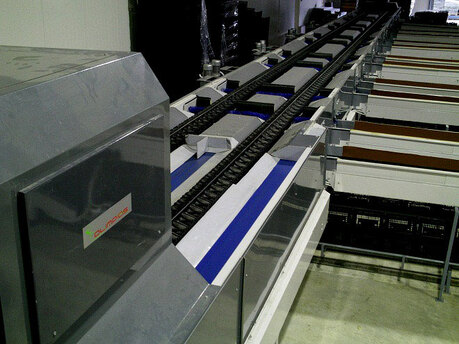 Sorting - Grading - Packaging Line for Kiwi