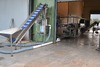 Sorting and Peeled line for Potatoes