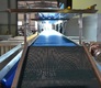 Packaging and sorting Line for Grapes