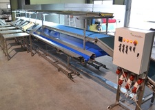 Berries & grapes packaging line