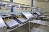 Packaging and sorting Line for Grapes