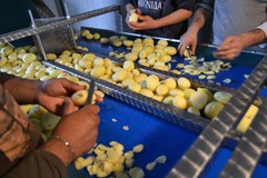Sorting table