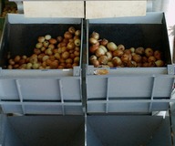 2 Electronic weigher for onion