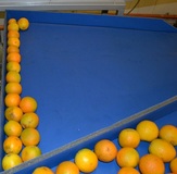Fuit trays
