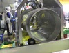 Sorting and Peeled line for Potatoes