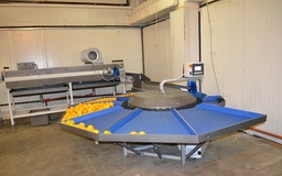 Grading line for oranges