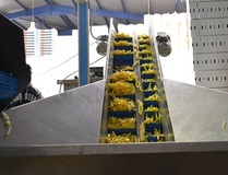 Weighing machine