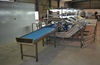 Packaging and sorting Line for Grapes